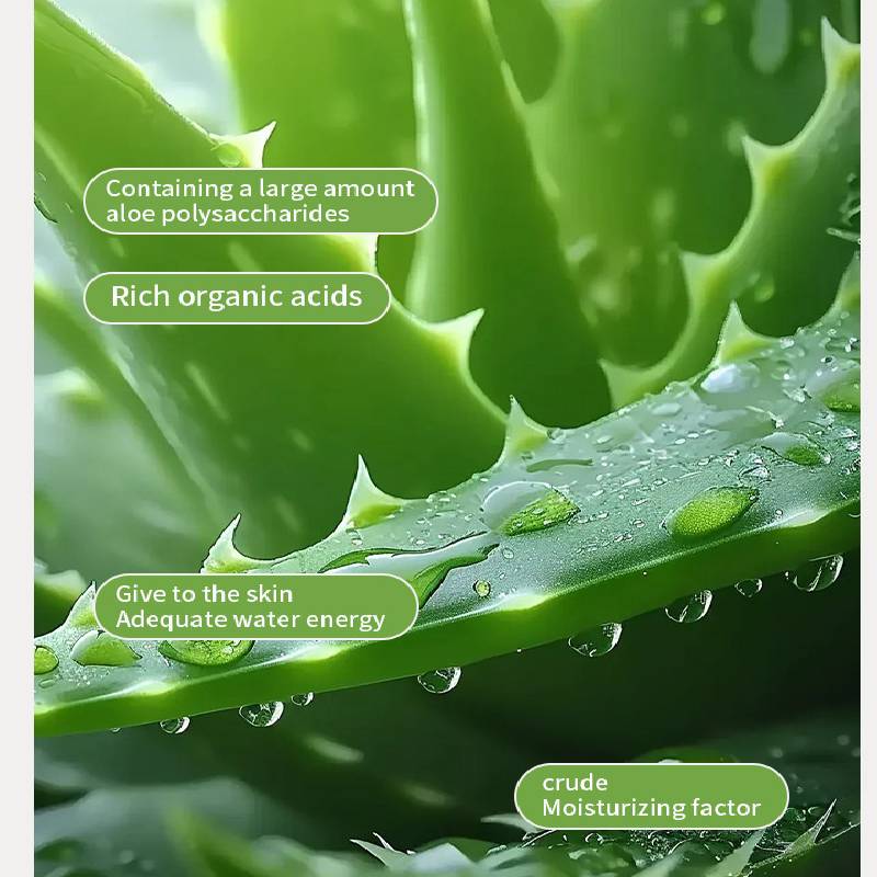 Aloe Vera Hydrating Essence Facial Moisturizing Brightening Skin Tone Whitening Fade Wrinkles Skin Care Serum