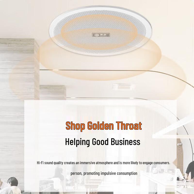 Huidu Professional Coaxial Ceiling Speaker TH-616