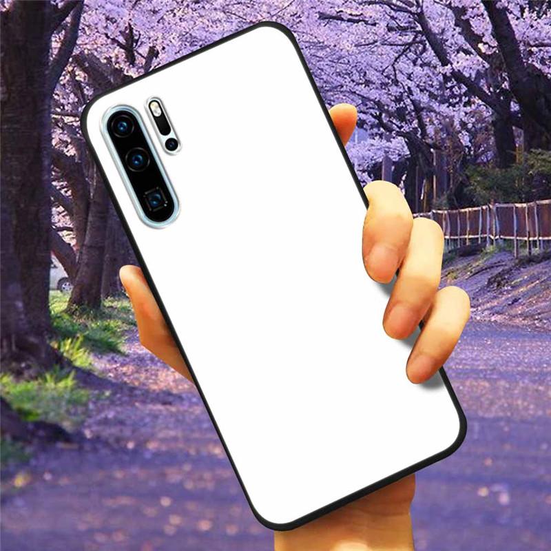 Phone Cover For Huawei P30 Pro Lite Case Tempered Glass Space Wolf Lion Funda for HUAWEI P30 Lite Luxury Cases P30Pro P 30 Cat