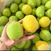 Handmade Lemon Stress Ball Color Changing Crunchy Squishy Fidget Ball Pinch Le  Office