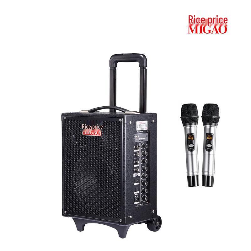 MiGao MG820A-LI Portable Outdoor Instrument Speaker