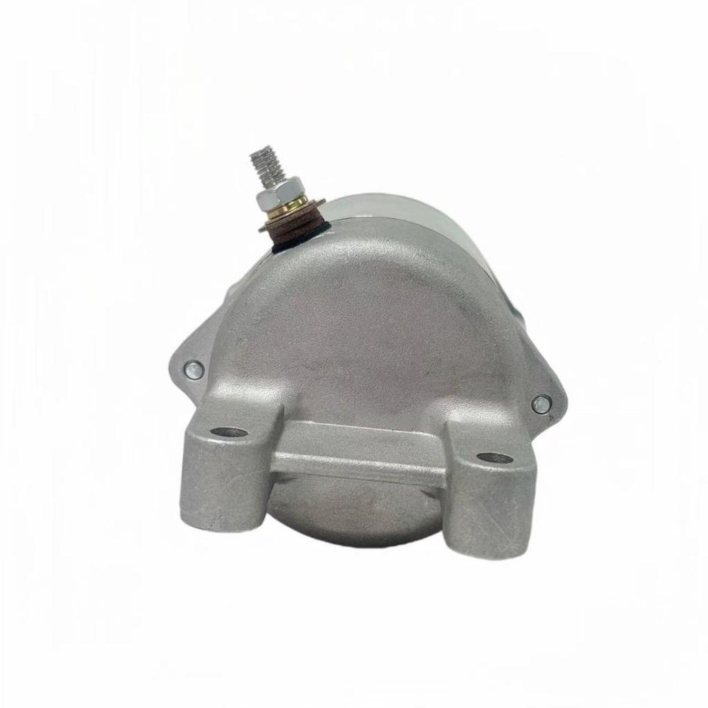 Motorcycle Starter Motor for TGB ATV 425/500 924470E