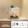 Gorede Desktop Ecological Fish Tank