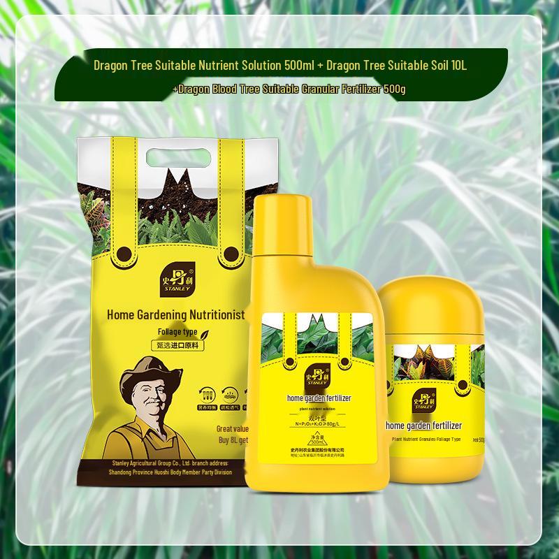 Stanley Dragon Tree Care: Nutrient Solution & General-Purpose Fertilizer for Healthy Green Plants