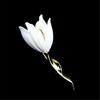 Sophisticated Magnolias Flower Brooch White Tulips Pin Decoration for Women’s Coats Backpack Hat Jewelry Accessories