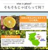 Doplněk Jabara od Kitayama Sada 5 90 tablet od Japan Bellows Promotion village. [Autorizované sdružení]
