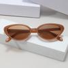 2pcs Fashion New Cat Eye Sunglasses for Women Brand Designer Retro Rivets Brown Sun Glasses Female Shades UV400 Black Eyewear