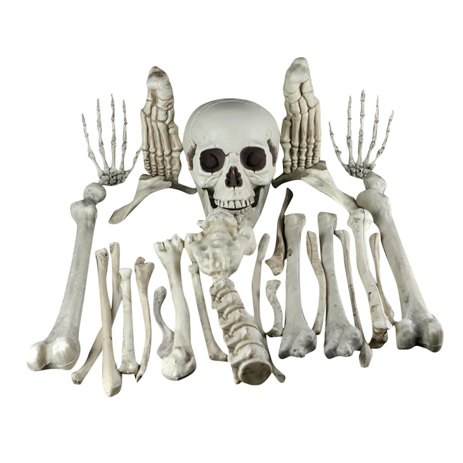 

Halloween Skeleton Ornaments (Skulls) One Size