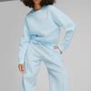 Puma Sports Life Collection Sweatshirt Women's Light Blue 623485-69