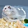 Yousheng Hamster Bathtub Transparent Cartoon PS Small Animal Sand-bath Toilet Pet Supplies