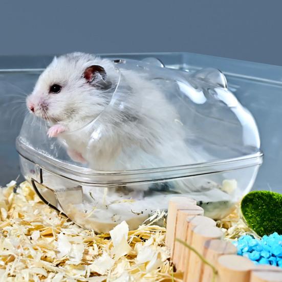 Yousheng Hamster Bathtub Transparent Cartoon PS Small Animal Sand-bath Toilet Pet Supplies