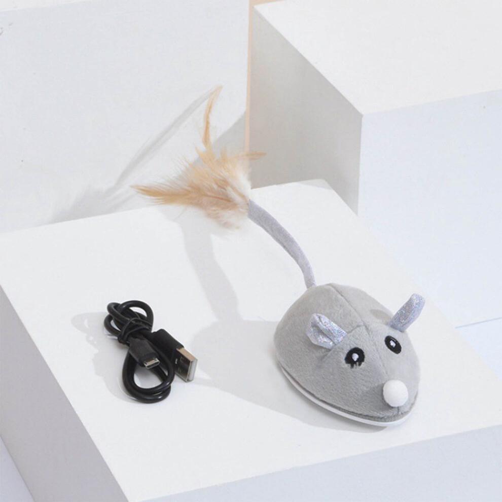 Electric Mouse Toy with Tail, USB Rechargeable Interactive Cat Toy, Compatible with All Breeds (2PC)