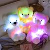 Cute Colorful Glowing Bear Doll Plush Toy Doll Teddy Bear Rag Doll Company Event Gift