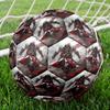 Assassin's Creed Theme Size 5 Soccer Ball, Suitable for Both Indoor and Outdoor Matches, a Gift Suitable for Everyone.