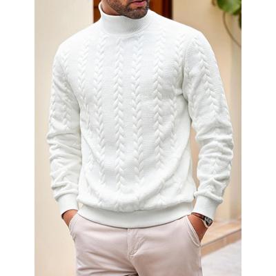 Autumn and Winter Sweaters and  for Daily Solid Color Young Men's Fashion Jacquard Turtleneck Warm Wool