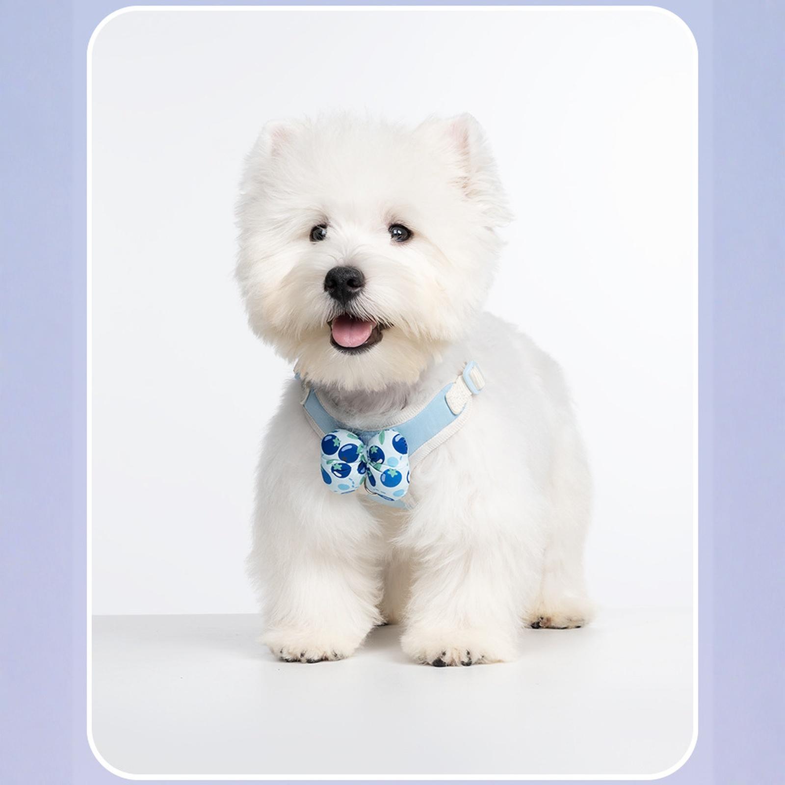 

rabbitgoo Dog Small Sized and Leash Set, Step in Soft Light Puppy Vest, Breathable Mesh Pet , Reflective for Safe Outdoor Walking S синій