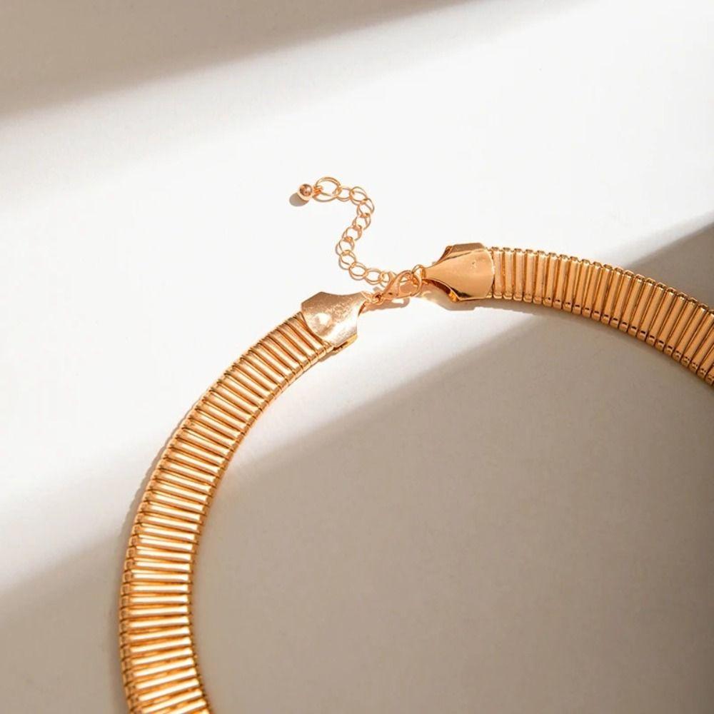 Vintage Chunky Choker Necklace Metal Chain Exaggerated Collarbone Chain  Girls