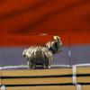 Mini Retro Brass Wall Highland Cattle Sculpture Hand Toy Gift Keychain Ornament Home Office Desk Decorative Ornament