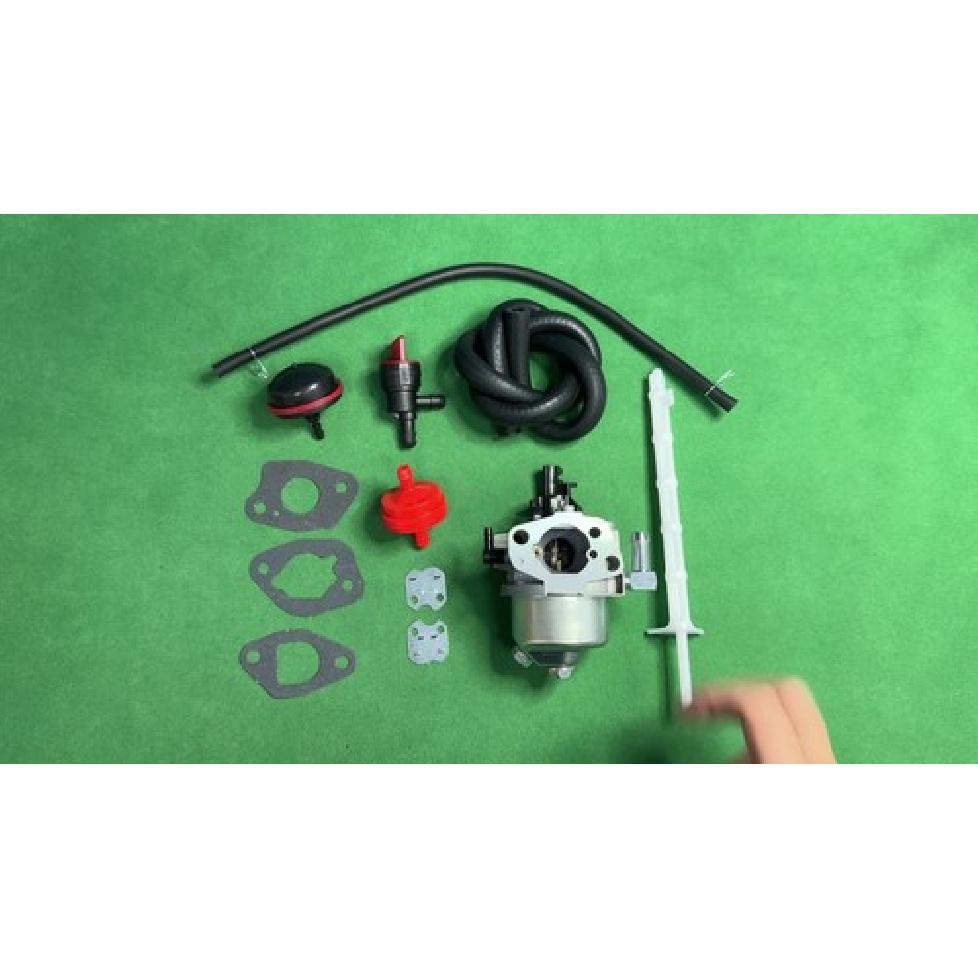 Carburetor 595785 591154 592447 For 13D132, 13D135, 13D137 Engines Carb