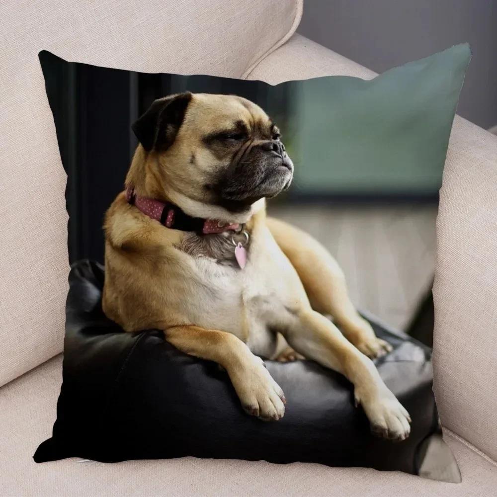 VIKAMA Nordic-Style Adorable Dog Cushion Cover Pug Print Cushion Cover Bedroom Living Room Sofa Decorative Cushion Cover
