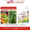 Quede Seaweed Boron Liquid Fertilizer