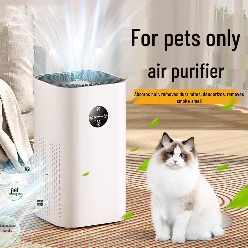 Home Negative Ion Air Purifier: Removes Pet Hair, Smoke, Odors, and Eliminates Indoor Smog.