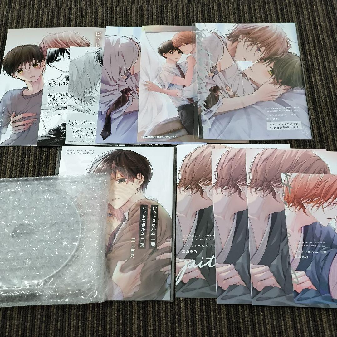 

[USED] Ships after the 12th Shino Mikami Pit Sporum Bonus Set