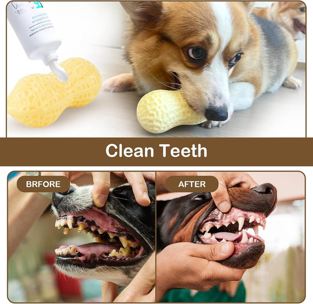 Squeaky Dog Toys Interactive, Peanut Shape Dog Toys Teeth-Cleaning Squeak Dog Chew Toy, Durable for Medium Dogs, Large & Small Breeds - Puppy Teething