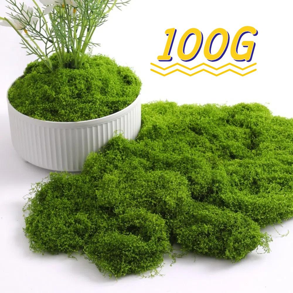 100G Artificial Moss Green Moss Mini Landscape Miniature Scene Moss DIY Craft Terrarium Preserved Plant Moss Garden Decor