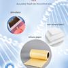 12Pcs/Box Body Sculpting Belly Sticker Waist Firming Slim Tummy Anti Cellulite Fat Burner Promote Bowel Movement Constipation Detox Patch