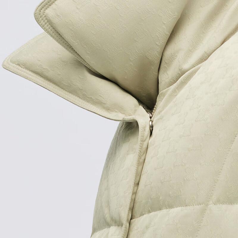 BOSIDENG B30144112W Short Lapel Loose Fit Goose Down Jacket