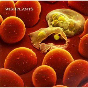 

CD WISHPLANTS, THE - Coma WOLCD1033 China Records 1993 UK Rock Used