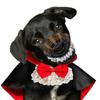 Funny Bow Tie Halloween Pet Costume Lace Stand-collar Cat Cosplay Cloak Adjustable Easy To Wear Small Dog Cape Dog