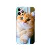 The Cat Phone Case For iPhone Samsung Galaxy Redmi Xiaomi Oppo OnePlus Note S A 7 8 9 10 11 12 13 14 20 21 22 23 53 54 Pro Max Plus Ultra TPU Soft