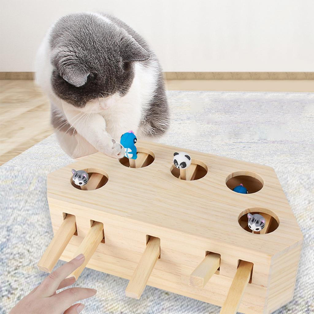 Game Kitten Puzzle Toy for Indoor Cats, Gift Cat Owner 5 Holes