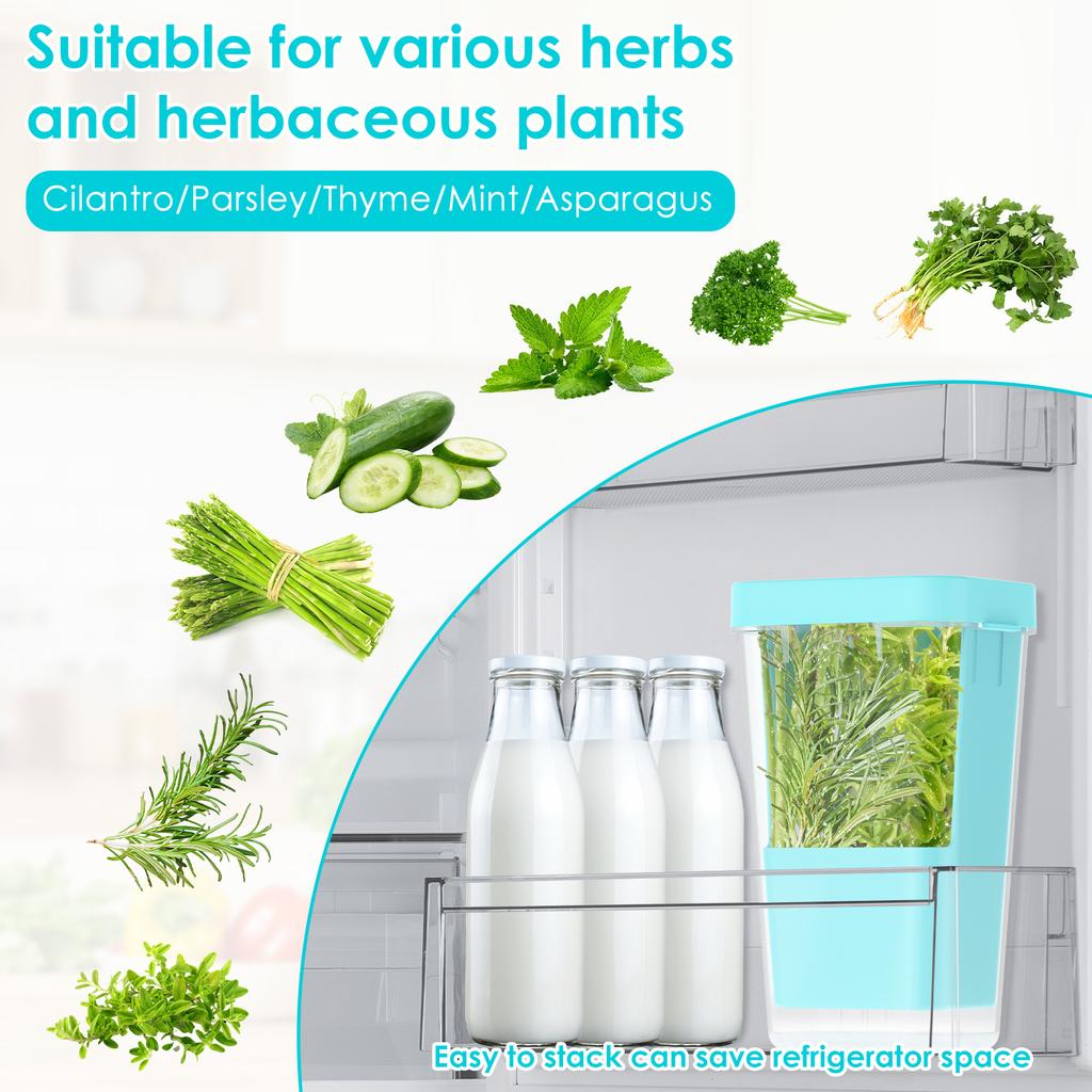 Plastic Refrigerator Transparent Fresh-keeping Container Coriander Mint Multi-purpose Vegetable Efficient Fresh-keeping Box
