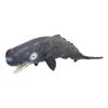 Realistic Sperm Whale Replica Simulated Marine Animal Model Educational Collector Toy