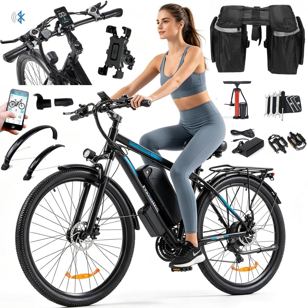 PASEBIKE C29 Elektrokolo EU 250W 65Nm 48V 21Ah 25km/h Dojezd 120km 29x2.1 E-bike