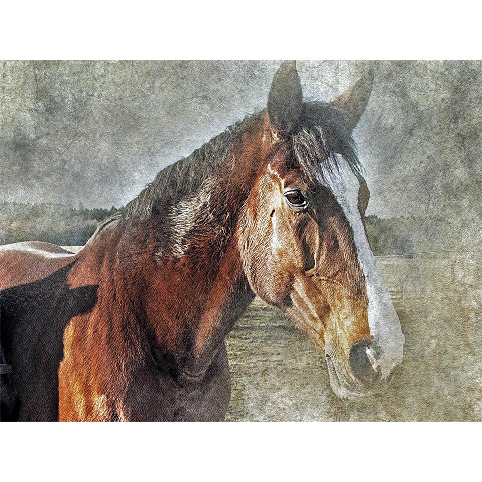 5D-Runddiamantgemälde mit Tierdiamantstickerei „;Pferd"; Strass-Mosaik-Bild, Kreuzstich-Set, DIY-Heimdekoration, Geschenk