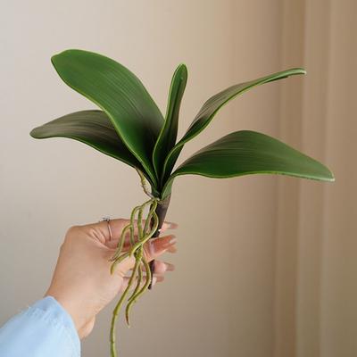 Simulation Leaves Non-Wilting Fake Phalaenopsis Orchid Leaves Home Decor