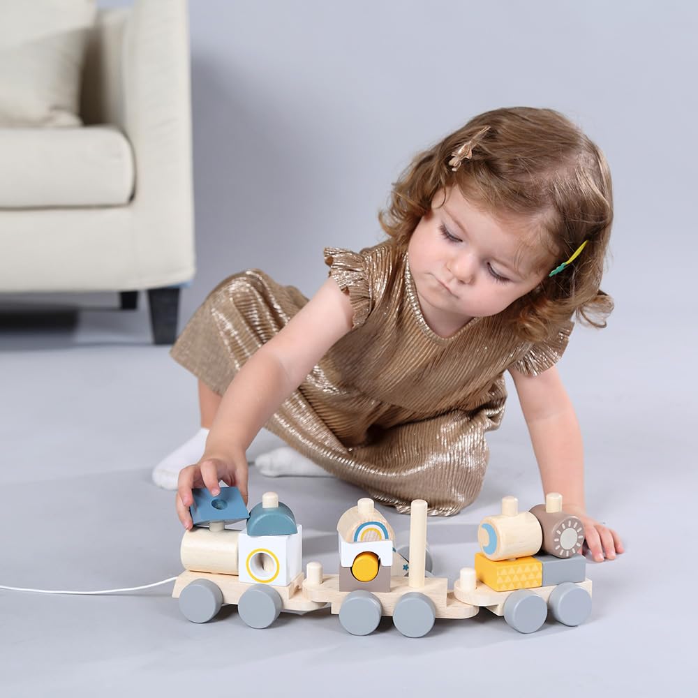 BRICK TRAIN Building Freely Mix and Match Adnil LAND Blocks, Train, #25416