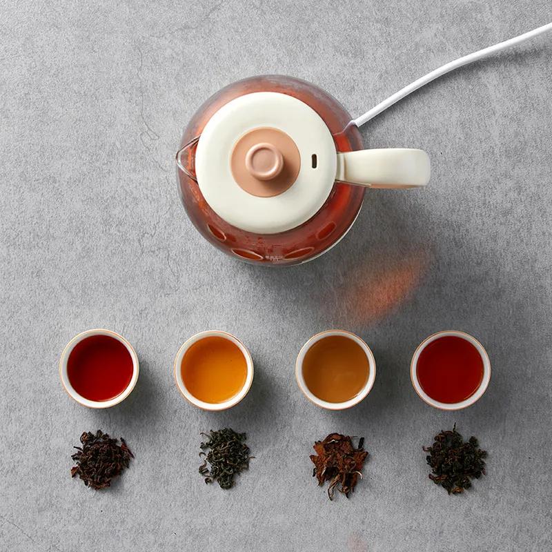 1L 220V Tea Cooking Pot Automatic Spray Tea Brewing Pot Machine Health Preservation Pot Teapot Cooker 600W