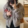 Plush Fleece Stand Collar Coat For Women