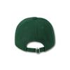 DOLPHIN WAVE APPAREL Dolphin Authentic Logo Ball Cap_123822DN