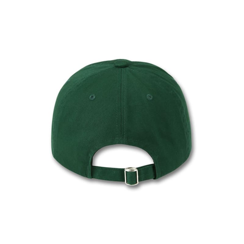 DOLPHIN WAVE APPAREL Dolphin Authentic Logo Ball Cap_123822DN