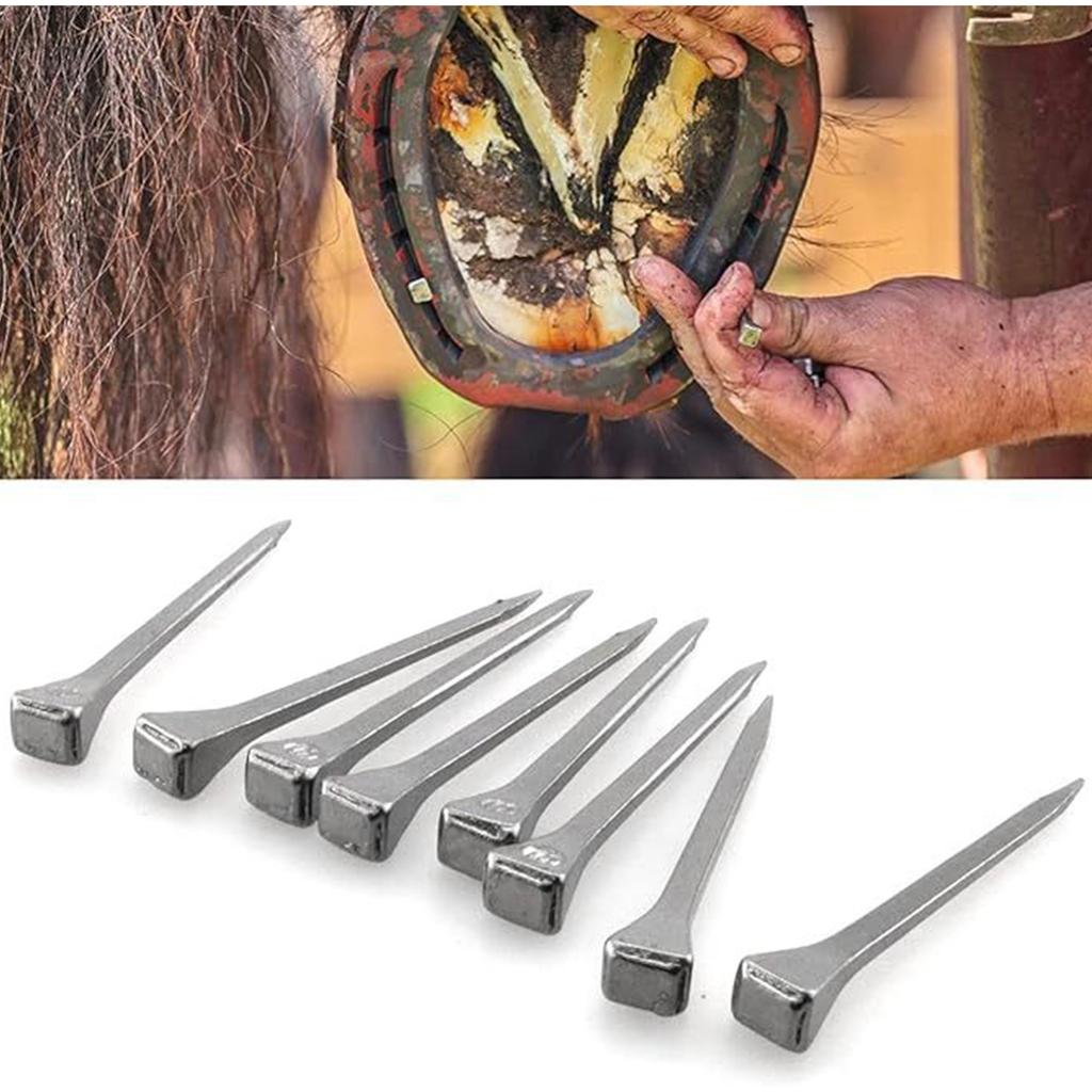 Nails for Hoof Pack Nails for Race Horse Training