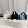 Niche Design Denim Handbag Bag Women's Spring New Oblique Span Bag Fashionable Shoulder Commuter Small Square Bag