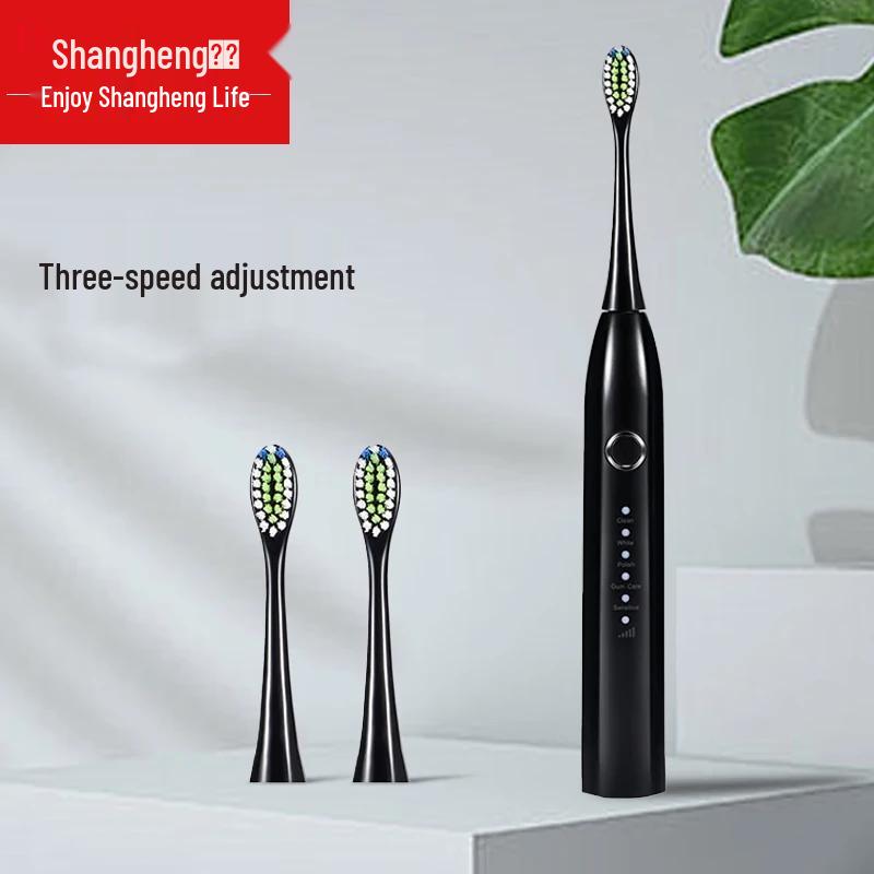 

Shangheng SHZH-039 Sonic Electric Toothbrush