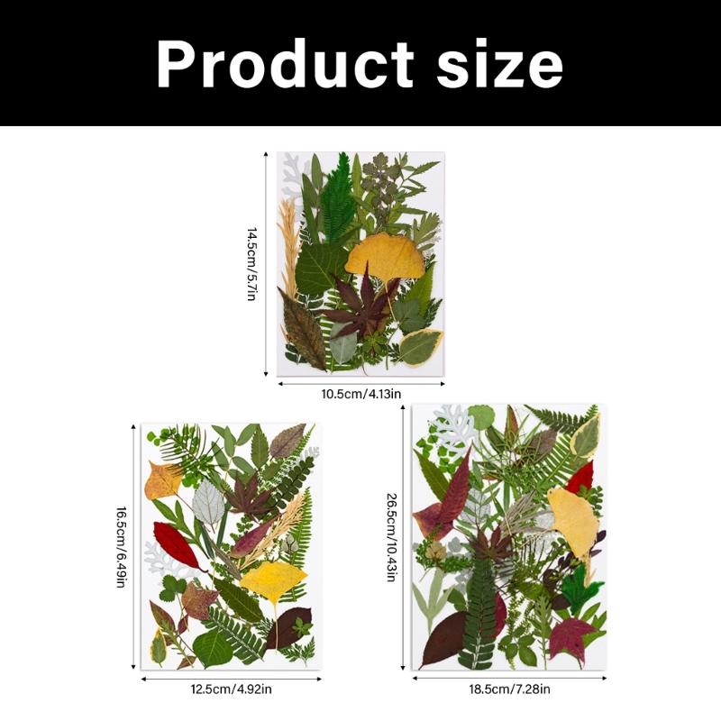 4Packs Dried Plant Specimens Craft Supplies 120 Real Pressed Leaves For DIY Jewelry Home Decors Natural Plant Materials Set
