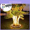 Led Tree Lamp With Waterproof Garden Landscape Lighting For Outdoor Decor